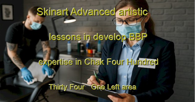Skinart Advanced artistic lessons in develop BBP expertise in Chak Four Hundred Thirty Four   One Left area | BbpTraining | BbpClasses | SkinartTraining-Pakistan