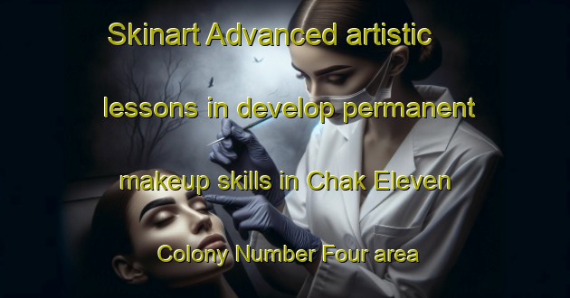 Skinart Advanced artistic lessons in develop permanent makeup skills in Chak Eleven Colony Number Four area | PermanentmakeupTraining | PermanentmakeupClasses | SkinartTraining-Pakistan