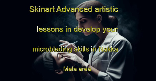 Skinart Advanced artistic lessons in develop your microblading skills in Nakka Mela area | MicrobladingTraining | MicrobladingClasses | SkinartTraining-Pakistan