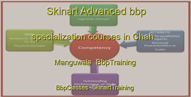 Skinart Advanced bbp specialization courses in Chah Manguwala | BbpTraining | BbpClasses | SkinartTraining-Pakistan
