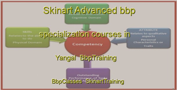 Skinart Advanced bbp specialization courses in Yangal | BbpTraining | BbpClasses | SkinartTraining-Pakistan