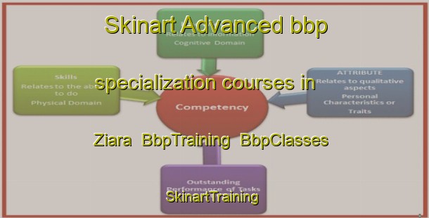 Skinart Advanced bbp specialization courses in Ziara | BbpTraining | BbpClasses | SkinartTraining-Pakistan