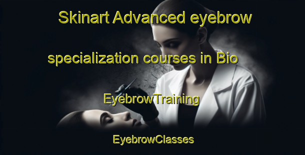 Skinart Advanced eyebrow specialization courses in Bio | EyebrowTraining | EyebrowClasses | SkinartTraining-Pakistan