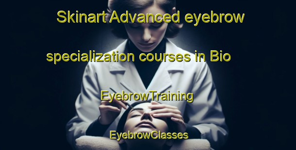 Skinart Advanced eyebrow specialization courses in Bio | EyebrowTraining | EyebrowClasses | SkinartTraining-Pakistan