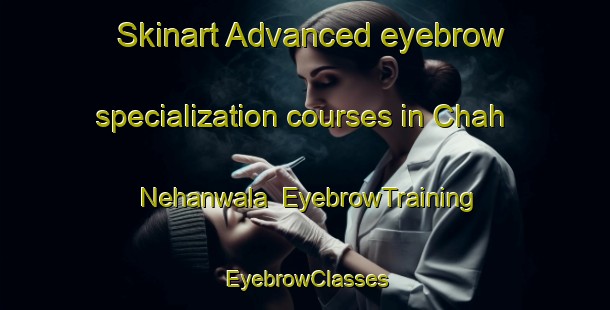 Skinart Advanced eyebrow specialization courses in Chah Nehanwala | EyebrowTraining | EyebrowClasses | SkinartTraining-Pakistan