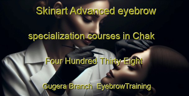 Skinart Advanced eyebrow specialization courses in Chak Four Hundred Thirty Eight Gugera Branch | EyebrowTraining | EyebrowClasses | SkinartTraining-Pakistan