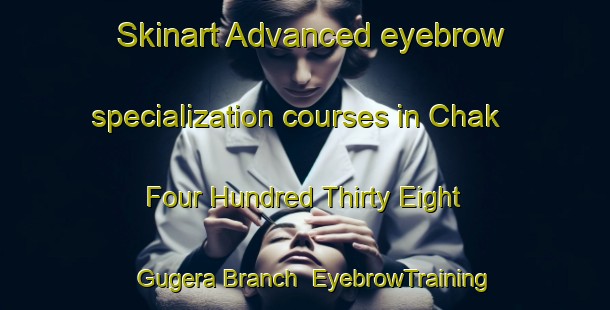 Skinart Advanced eyebrow specialization courses in Chak Four Hundred Thirty Eight Gugera Branch | EyebrowTraining | EyebrowClasses | SkinartTraining-Pakistan