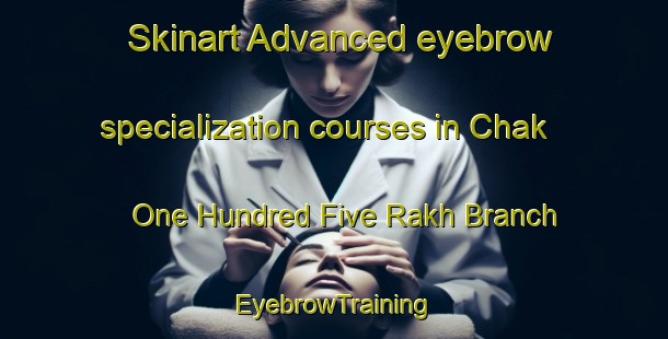 Skinart Advanced eyebrow specialization courses in Chak One Hundred Five Rakh Branch | EyebrowTraining | EyebrowClasses | SkinartTraining-Pakistan
