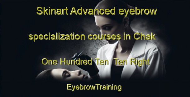 Skinart Advanced eyebrow specialization courses in Chak One Hundred Ten  Ten Right | EyebrowTraining | EyebrowClasses | SkinartTraining-Pakistan