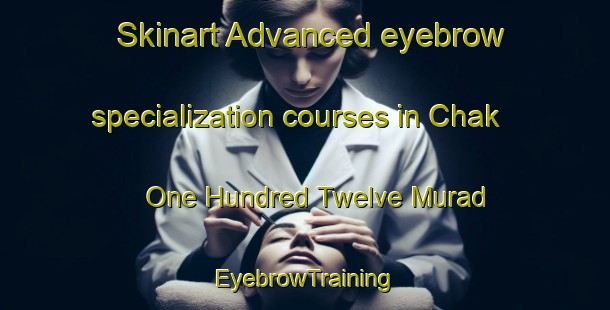 Skinart Advanced eyebrow specialization courses in Chak One Hundred Twelve Murad | EyebrowTraining | EyebrowClasses | SkinartTraining-Pakistan