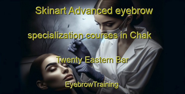 Skinart Advanced eyebrow specialization courses in Chak Twenty Eastern Bar | EyebrowTraining | EyebrowClasses | SkinartTraining-Pakistan