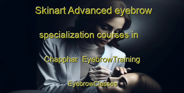 Skinart Advanced eyebrow specialization courses in Chapphar | EyebrowTraining | EyebrowClasses | SkinartTraining-Pakistan