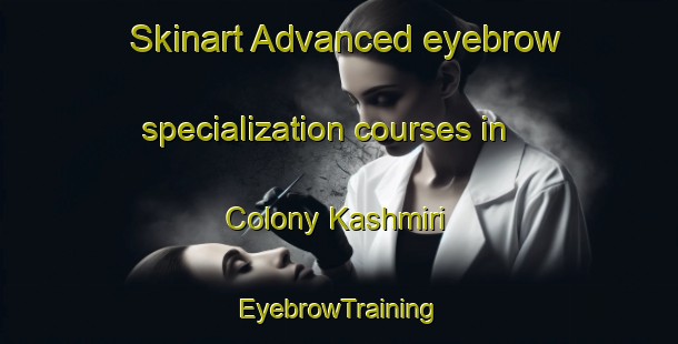 Skinart Advanced eyebrow specialization courses in Colony Kashmiri | EyebrowTraining | EyebrowClasses | SkinartTraining-Pakistan