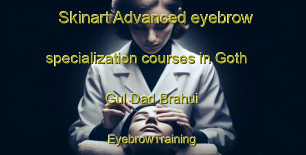 Skinart Advanced eyebrow specialization courses in Goth Gul Dad Brahui | EyebrowTraining | EyebrowClasses | SkinartTraining-Pakistan
