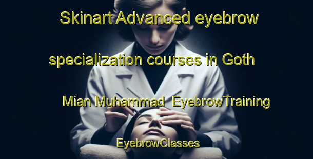Skinart Advanced eyebrow specialization courses in Goth Mian Muhammad | EyebrowTraining | EyebrowClasses | SkinartTraining-Pakistan