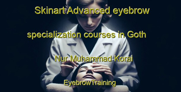 Skinart Advanced eyebrow specialization courses in Goth Nur Muhammad Korai | EyebrowTraining | EyebrowClasses | SkinartTraining-Pakistan