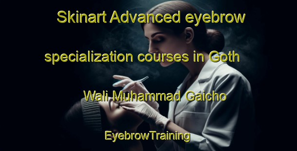 Skinart Advanced eyebrow specialization courses in Goth Wali Muhammad Gaicho | EyebrowTraining | EyebrowClasses | SkinartTraining-Pakistan