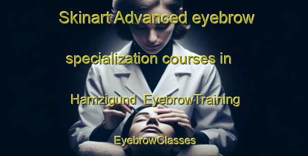 Skinart Advanced eyebrow specialization courses in Hamzigund | EyebrowTraining | EyebrowClasses | SkinartTraining-Pakistan
