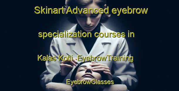 Skinart Advanced eyebrow specialization courses in Kalas Kotli | EyebrowTraining | EyebrowClasses | SkinartTraining-Pakistan