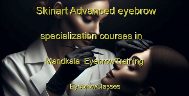 Skinart Advanced eyebrow specialization courses in Mandkala | EyebrowTraining | EyebrowClasses | SkinartTraining-Pakistan