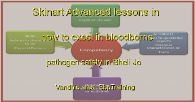 Skinart Advanced lessons in how to excel in bloodborne pathogen safety in Bheli Jo Vandhio area | BbpTraining | BbpClasses | SkinartTraining-Pakistan