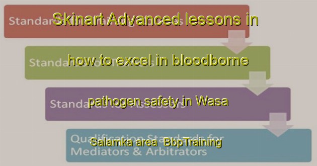 Skinart Advanced lessons in how to excel in bloodborne pathogen safety in Wasa Salamka area | BbpTraining | BbpClasses | SkinartTraining-Pakistan