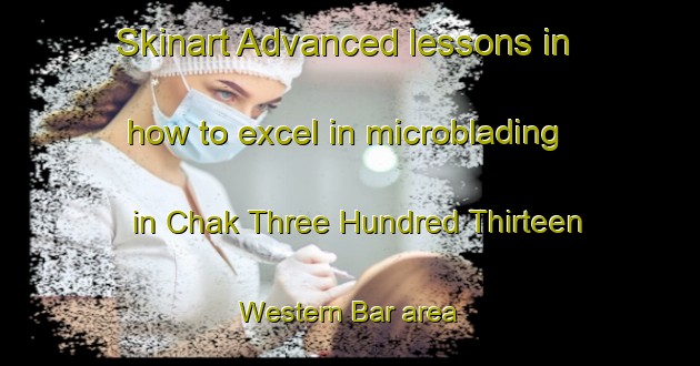 Skinart Advanced lessons in how to excel in microblading in Chak Three Hundred Thirteen Western Bar area | MicrobladingTraining | MicrobladingClasses | SkinartTraining-Pakistan