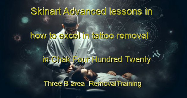 Skinart Advanced lessons in how to excel in tattoo removal in Chak Four Hundred Twenty Three B area | RemovalTraining | RemovalClasses | SkinartTraining-Pakistan
