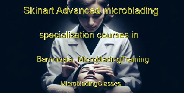 Skinart Advanced microblading specialization courses in Bamnwala | MicrobladingTraining | MicrobladingClasses | SkinartTraining-Pakistan