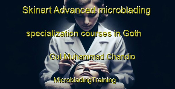 Skinart Advanced microblading specialization courses in Goth Gul Muhammad Chandio | MicrobladingTraining | MicrobladingClasses | SkinartTraining-Pakistan
