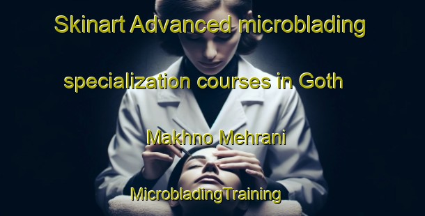 Skinart Advanced microblading specialization courses in Goth Makhno Mehrani | MicrobladingTraining | MicrobladingClasses | SkinartTraining-Pakistan