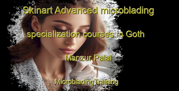Skinart Advanced microblading specialization courses in Goth Manzur Palal | MicrobladingTraining | MicrobladingClasses | SkinartTraining-Pakistan