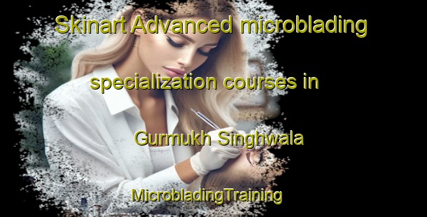 Skinart Advanced microblading specialization courses in Gurmukh Singhwala | MicrobladingTraining | MicrobladingClasses | SkinartTraining-Pakistan