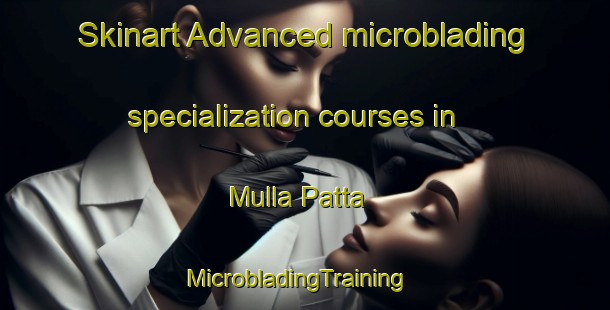 Skinart Advanced microblading specialization courses in Mulla Patta | MicrobladingTraining | MicrobladingClasses | SkinartTraining-Pakistan