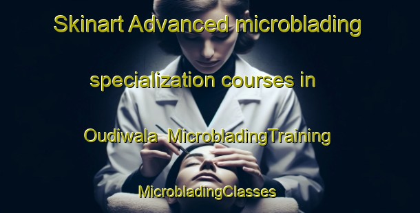 Skinart Advanced microblading specialization courses in Oudiwala | MicrobladingTraining | MicrobladingClasses | SkinartTraining-Pakistan