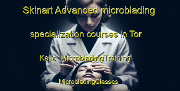 Skinart Advanced microblading specialization courses in Tor Kalle | MicrobladingTraining | MicrobladingClasses | SkinartTraining-Pakistan