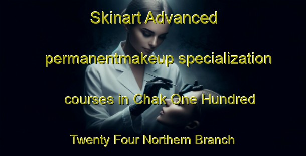 Skinart Advanced permanentmakeup specialization courses in Chak One Hundred Twenty Four Northern Branch | PermanentmakeupTraining | PermanentmakeupClasses | SkinartTraining-Pakistan