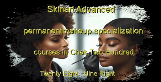 Skinart Advanced permanentmakeup specialization courses in Chak Two Hundred Twenty Eight   Nine Right | PermanentmakeupTraining | PermanentmakeupClasses | SkinartTraining-Pakistan