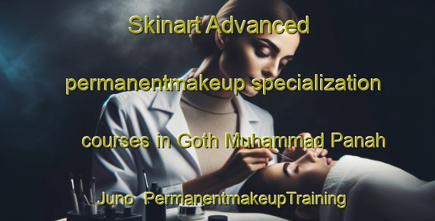 Skinart Advanced permanentmakeup specialization courses in Goth Muhammad Panah Juno | PermanentmakeupTraining | PermanentmakeupClasses | SkinartTraining-Pakistan