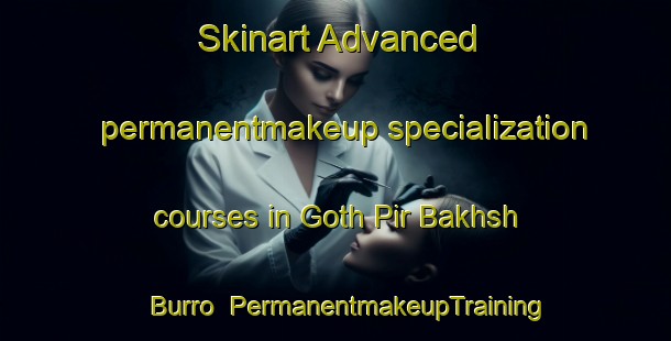 Skinart Advanced permanentmakeup specialization courses in Goth Pir Bakhsh Burro | PermanentmakeupTraining | PermanentmakeupClasses | SkinartTraining-Pakistan