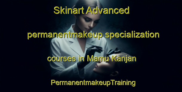 Skinart Advanced permanentmakeup specialization courses in Mamu Kanjan | PermanentmakeupTraining | PermanentmakeupClasses | SkinartTraining-Pakistan