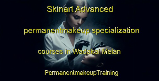 Skinart Advanced permanentmakeup specialization courses in Wadakai Melan | PermanentmakeupTraining | PermanentmakeupClasses | SkinartTraining-Pakistan