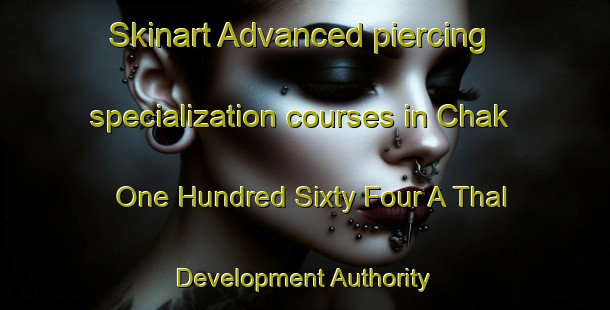 Skinart Advanced piercing specialization courses in Chak One Hundred Sixty Four A Thal Development Authority | PiercingTraining | PiercingClasses | SkinartTraining-Pakistan