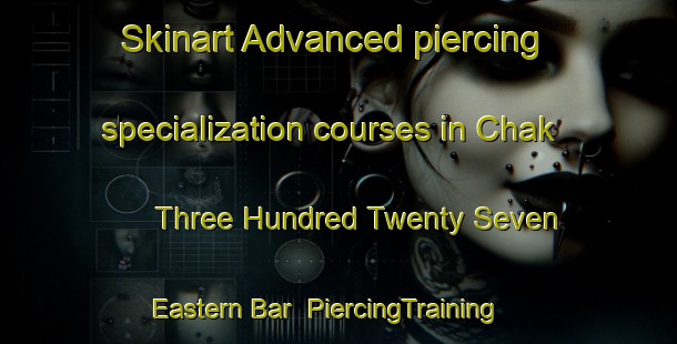 Skinart Advanced piercing specialization courses in Chak Three Hundred Twenty Seven Eastern Bar | PiercingTraining | PiercingClasses | SkinartTraining-Pakistan