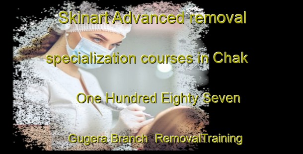 Skinart Advanced removal specialization courses in Chak One Hundred Eighty Seven Gugera Branch | RemovalTraining | RemovalClasses | SkinartTraining-Pakistan