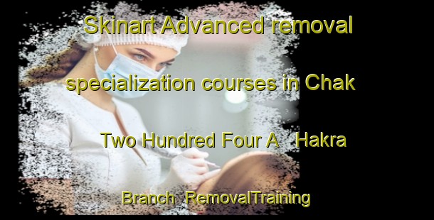 Skinart Advanced removal specialization courses in Chak Two Hundred Four A   Hakra Branch | RemovalTraining | RemovalClasses | SkinartTraining-Pakistan