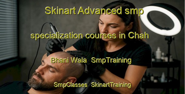Skinart Advanced smp specialization courses in Chah Bhani Wala | SmpTraining | SmpClasses | SkinartTraining-Pakistan