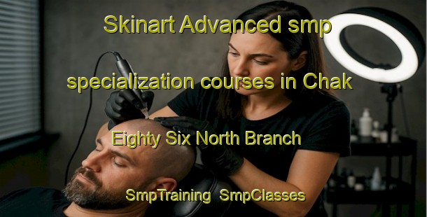 Skinart Advanced smp specialization courses in Chak Eighty Six North Branch | SmpTraining | SmpClasses | SkinartTraining-Pakistan