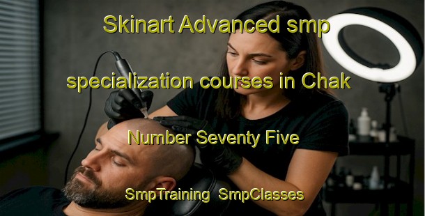 Skinart Advanced smp specialization courses in Chak Number Seventy Five | SmpTraining | SmpClasses | SkinartTraining-Pakistan