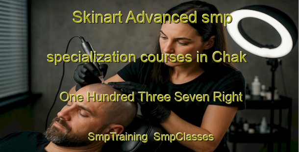 Skinart Advanced smp specialization courses in Chak One Hundred Three Seven Right | SmpTraining | SmpClasses | SkinartTraining-Pakistan